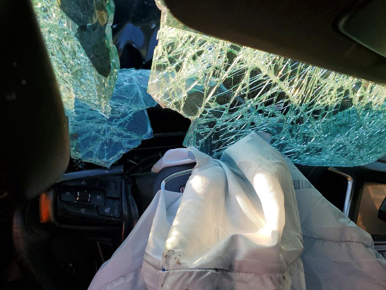 2019 GMC Sierra K1500 AT4
