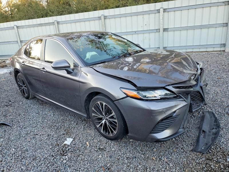 2019 Toyota Camry l