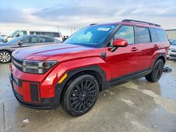 2024 Hyundai Santa fe Calligraphy for sale in Haslet, TX