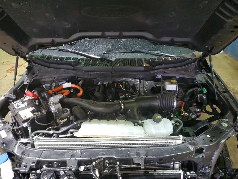 2024 Ford F150 xlt