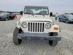 2002 Jeep Wrangler / tj se