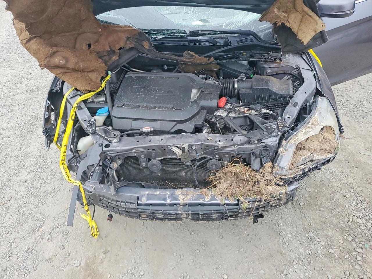 2014 Honda Accord exl