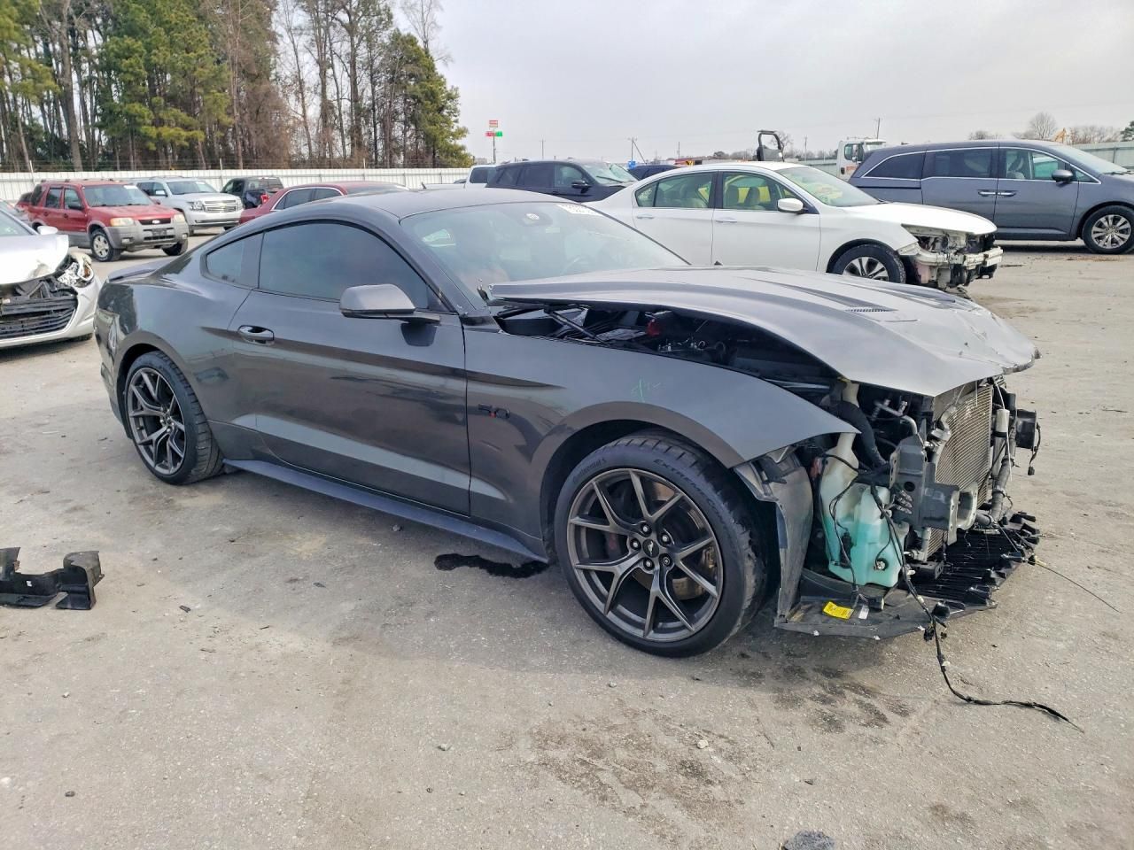 2019 Ford Mustang gt