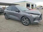 2023 Ford Escape st Line