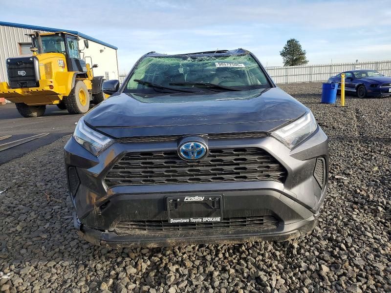 2024 Toyota Rav4 xle