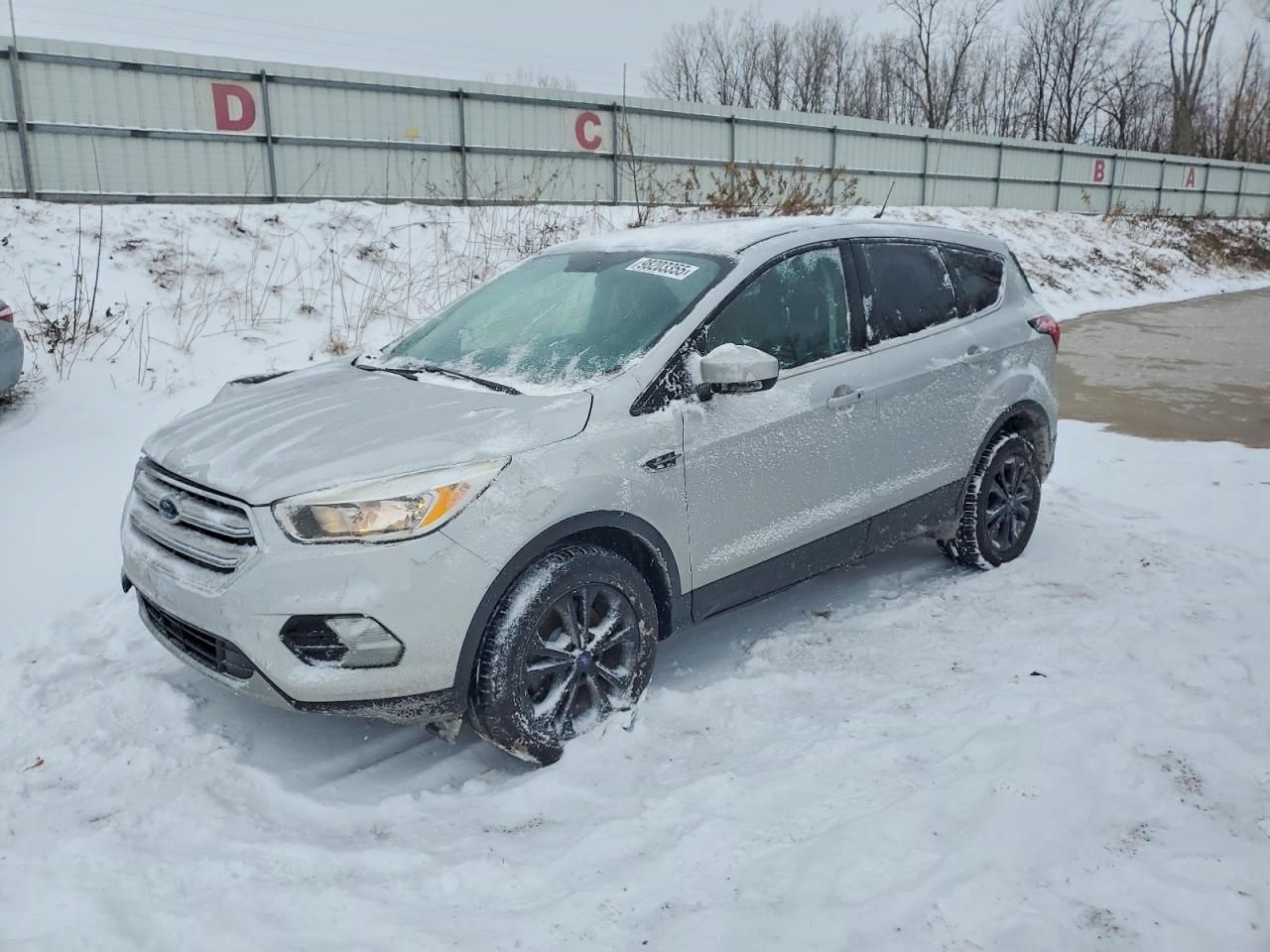 2019 Ford Escape se