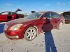 2005 Nissan Maxima se