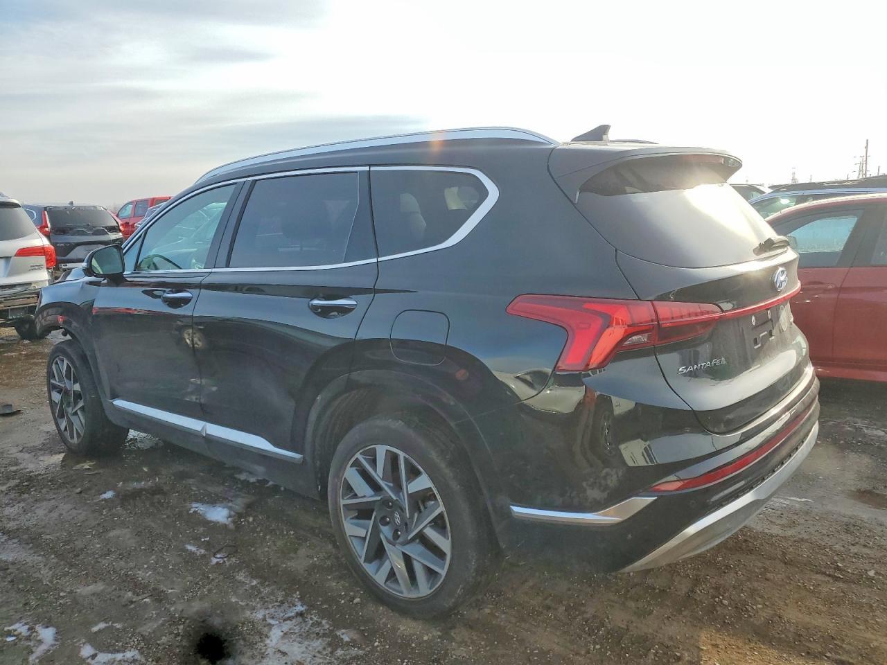 2023 Hyundai Santa fe Calligraphy