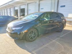 2023 Honda Odyssey Sport-l for sale in Louisville, KY