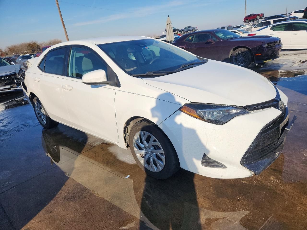 2019 Toyota Corolla l