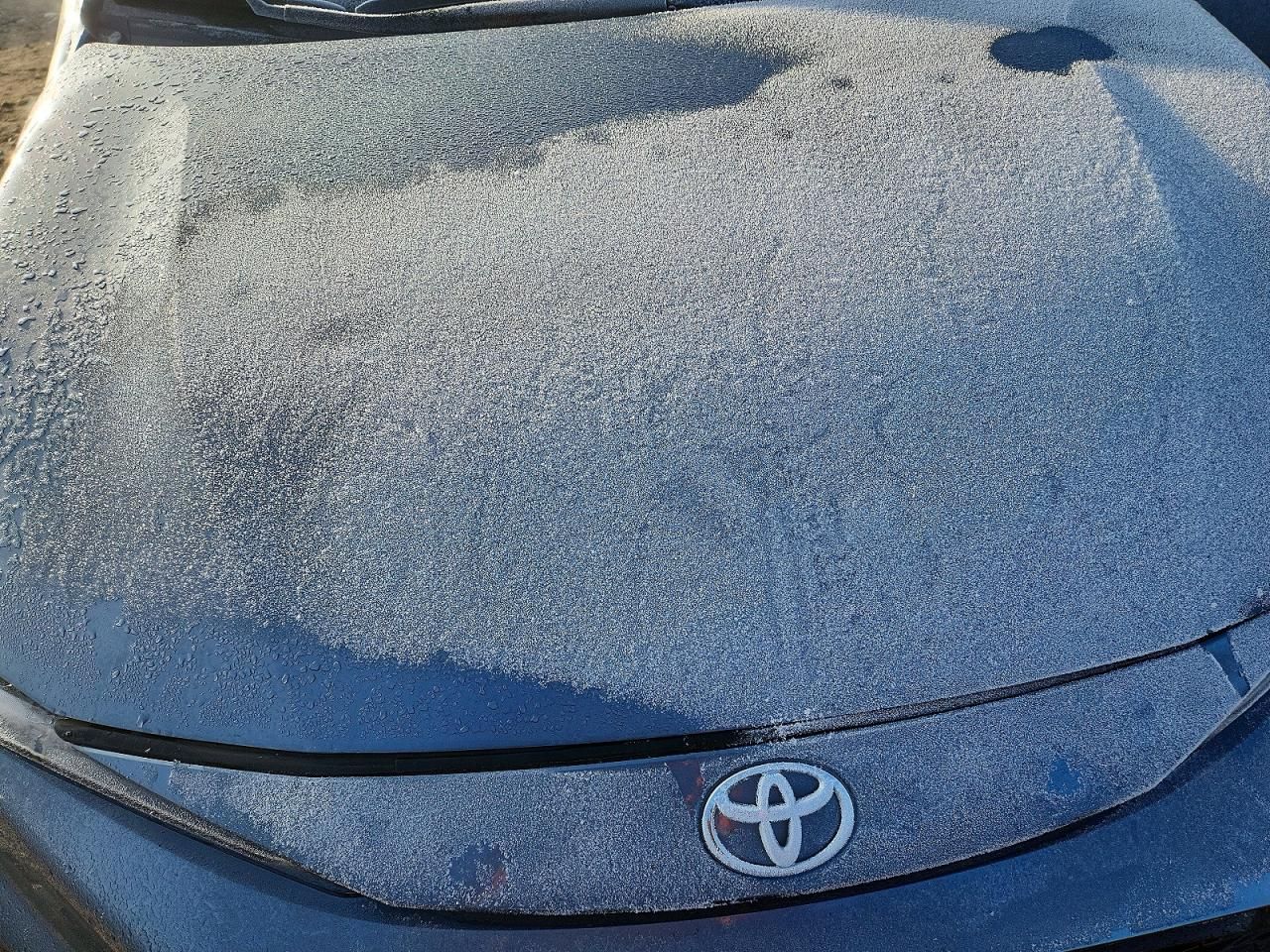 2024 Toyota Corolla xse