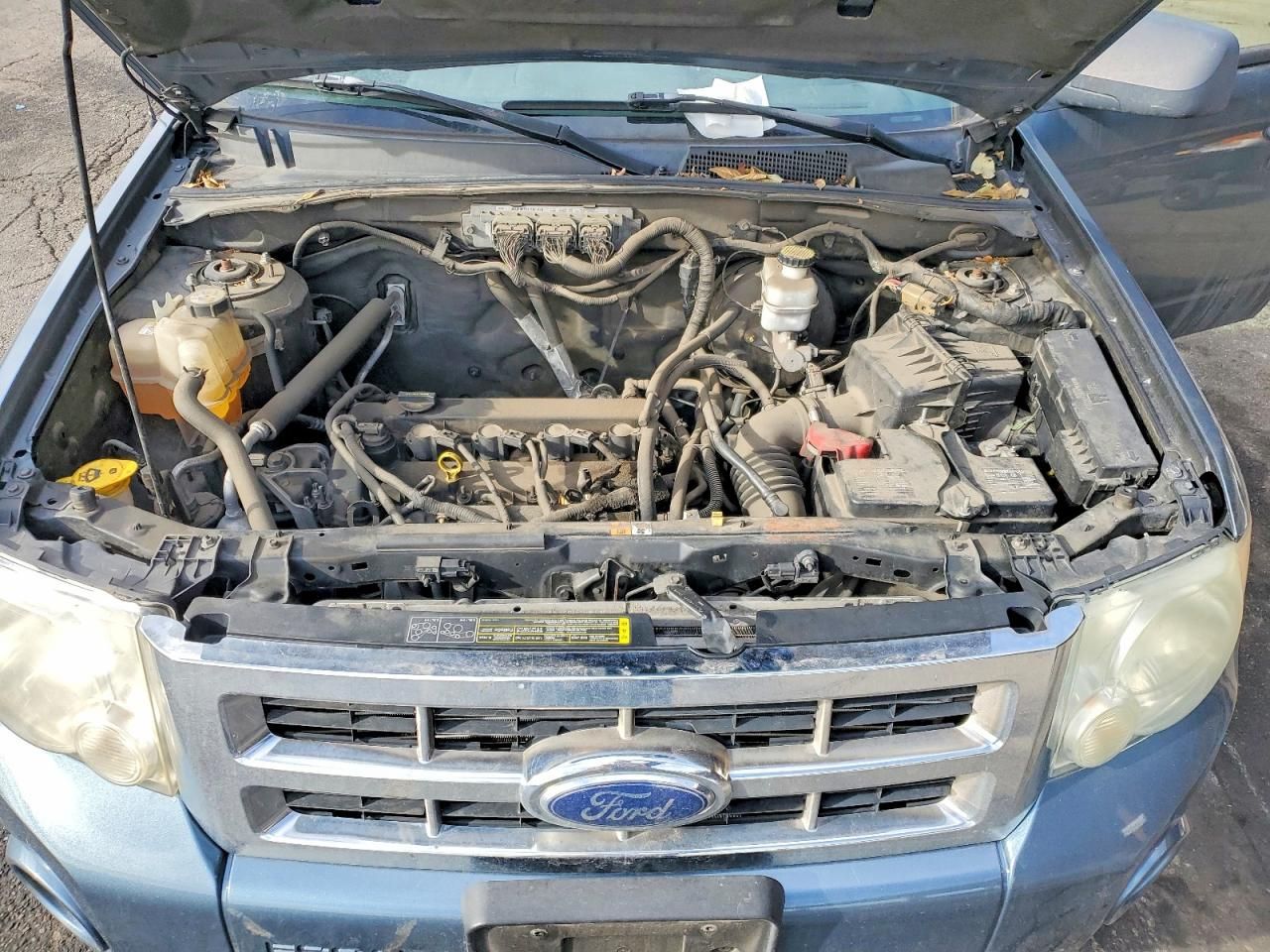 2010 Ford Escape xlt