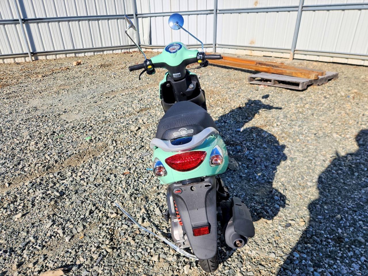 2024 Genuine Scooter Co. Buddy 50