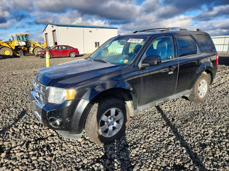 2011 Ford Escape Limited