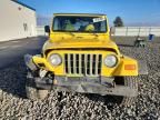 2001 Jeep Wrangler / tj se