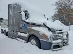 2020 Freightliner Cascadia 126 Semi Truck