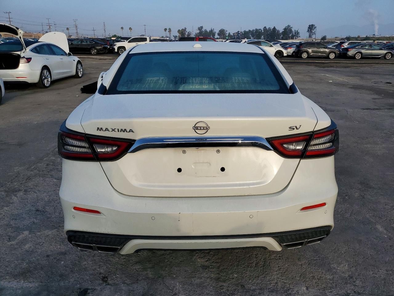 2023 Nissan Maxima sv