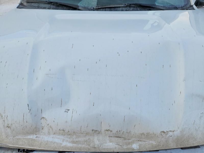 2019 Ford Expedition max xl