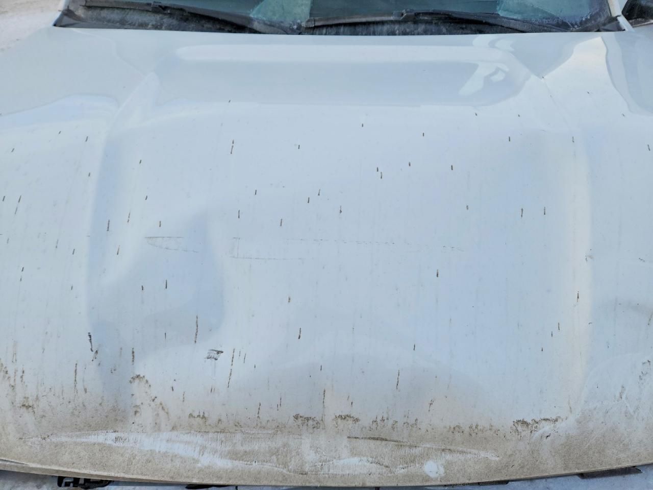 2019 Ford Expedition max xl