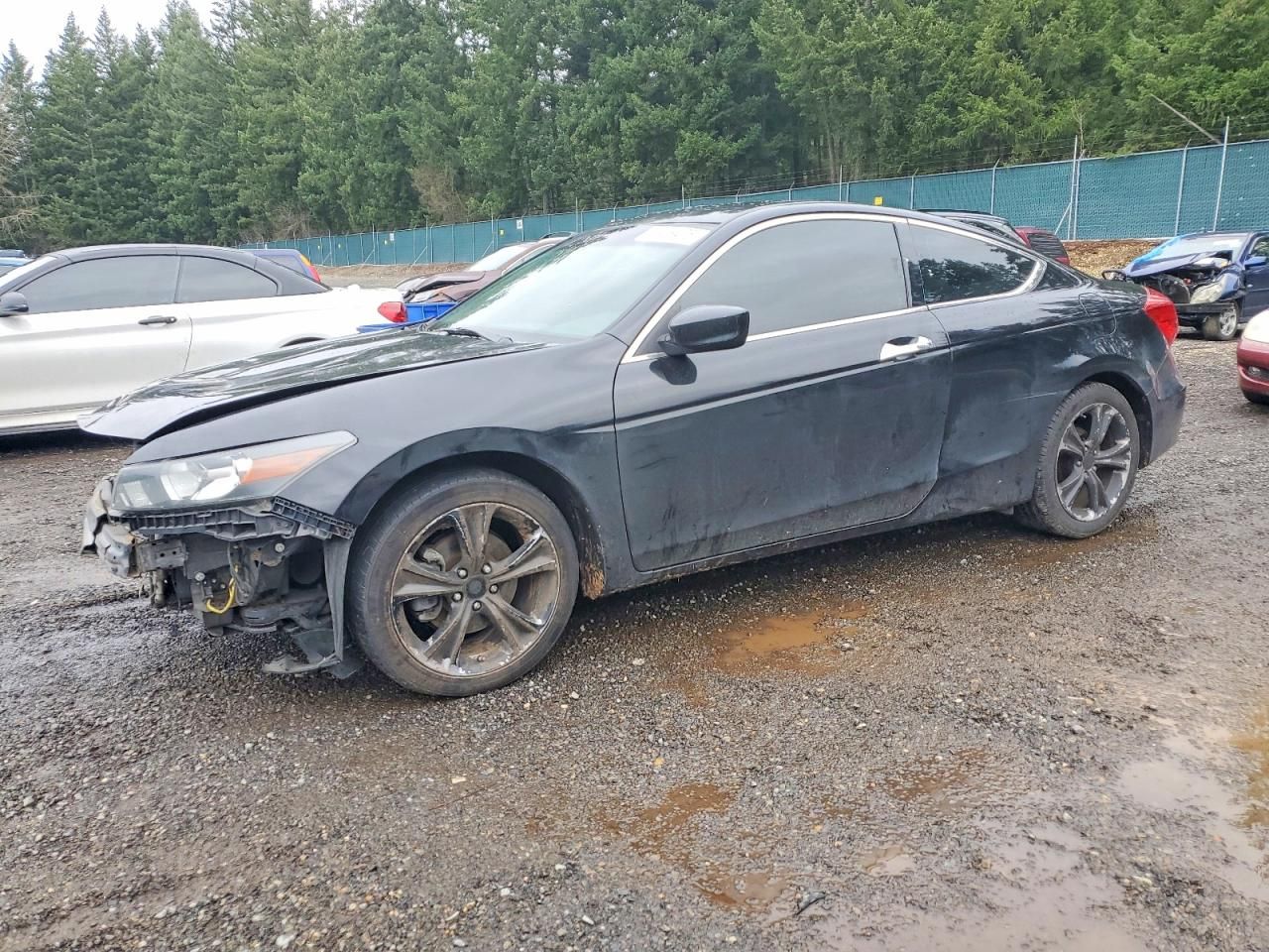 2011 Honda Accord exl