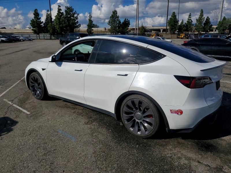 2023 Tesla Model y