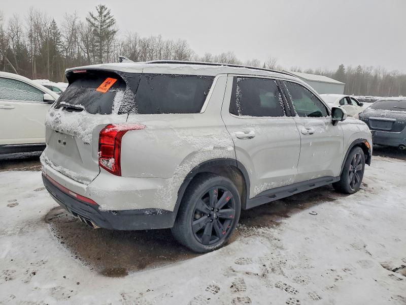 2024 Hyundai Palisade xrt