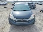 2011 Honda Cr-v exl