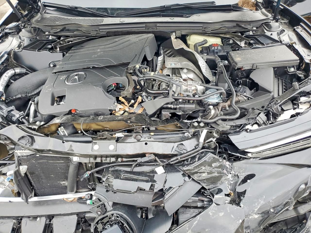 2025 Acura Tlx Type s