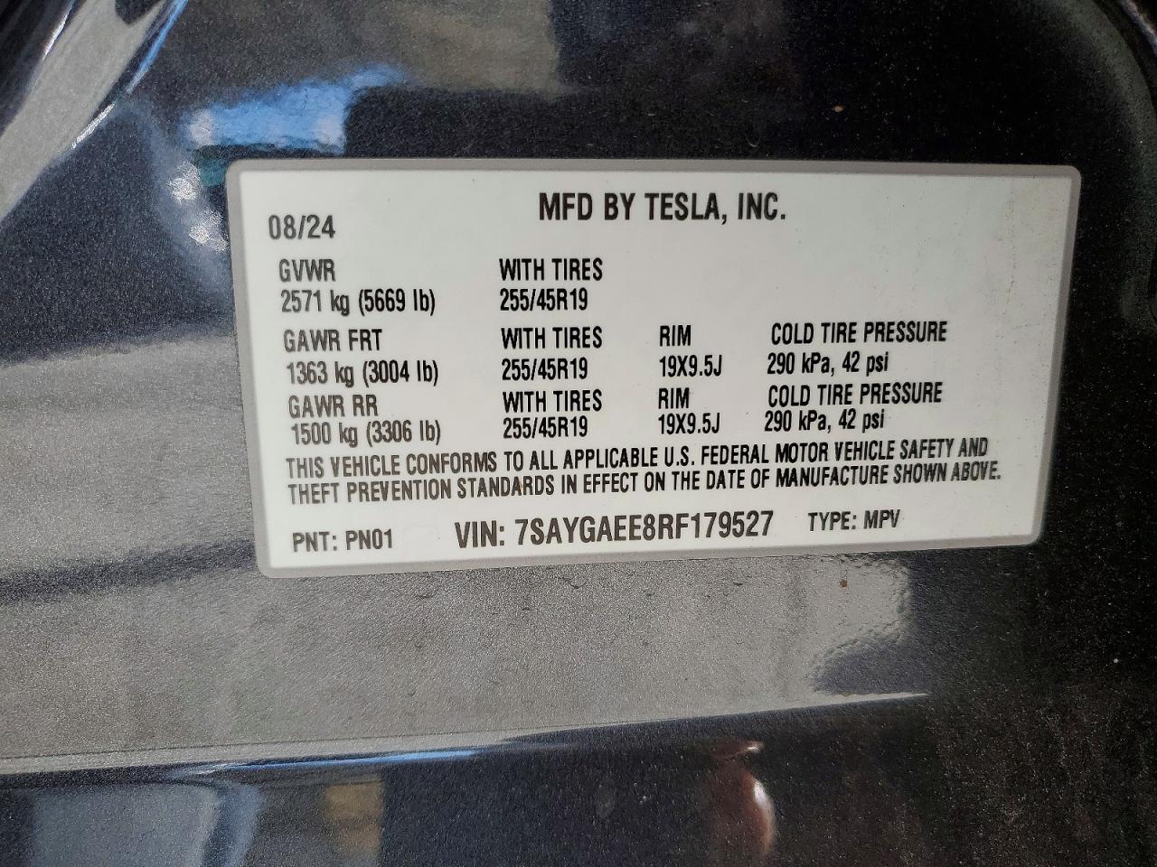 2024 Tesla Model y