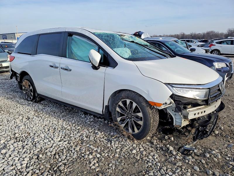 2023 Honda Odyssey exl