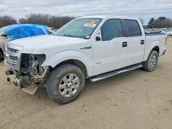 2014 Ford F150 Supercrew en venta en Conway, AR