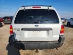 2002 Ford Escape xlt