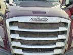 2020 Freigliner Cascadia 126