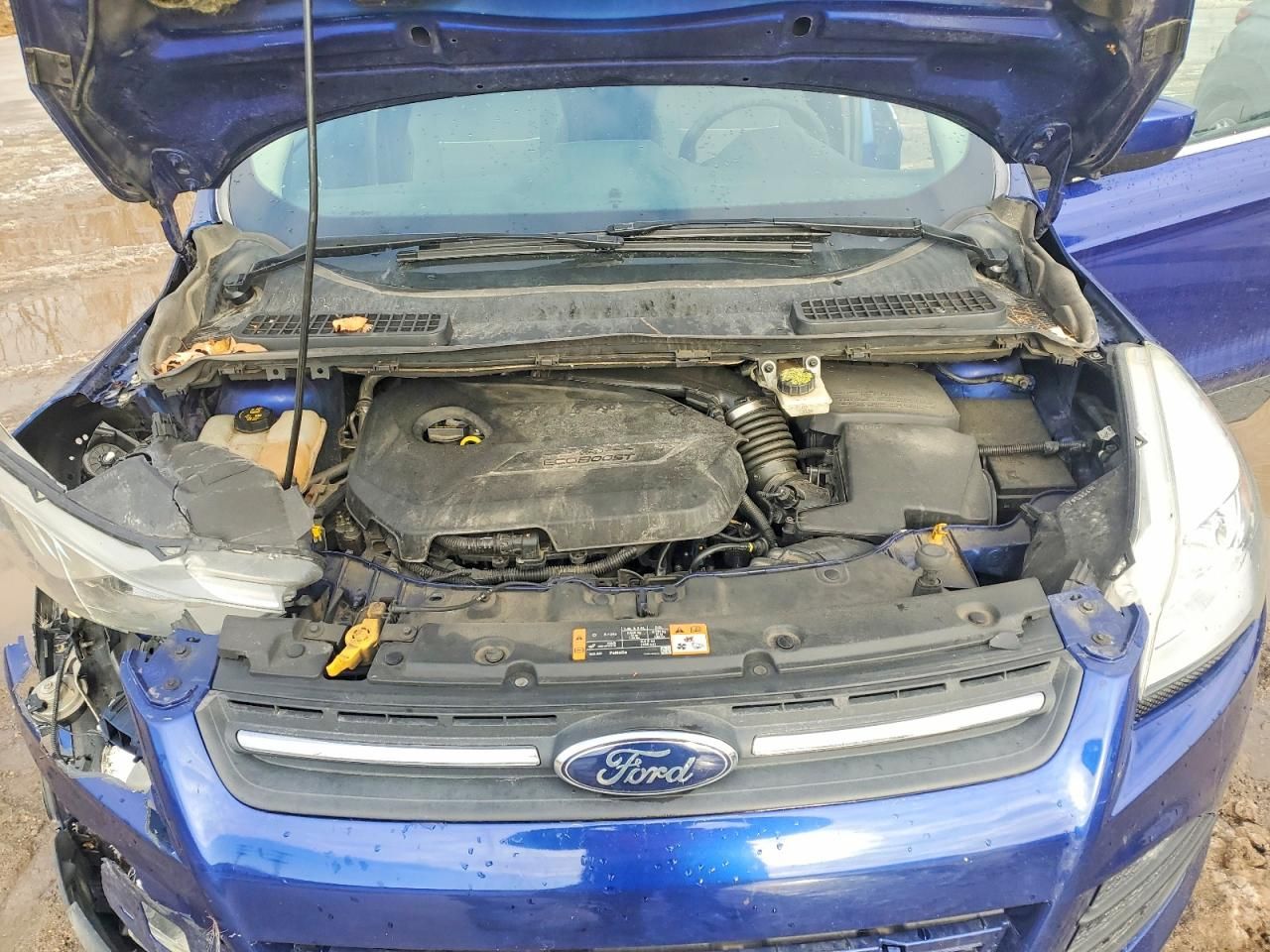 2014 Ford Escape se