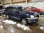 2004 Hyundai Santa fe gls