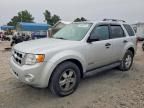2008 Ford Escape xlt