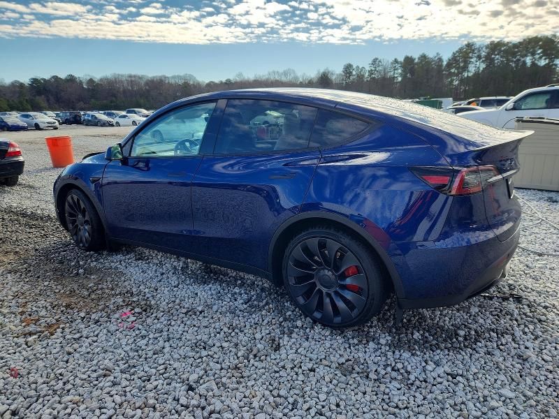 2022 Tesla Model y
