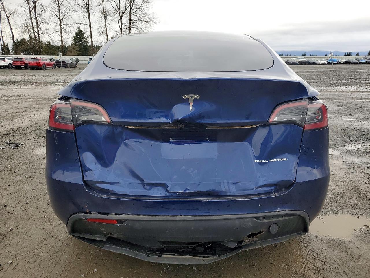 2025 Tesla Model y