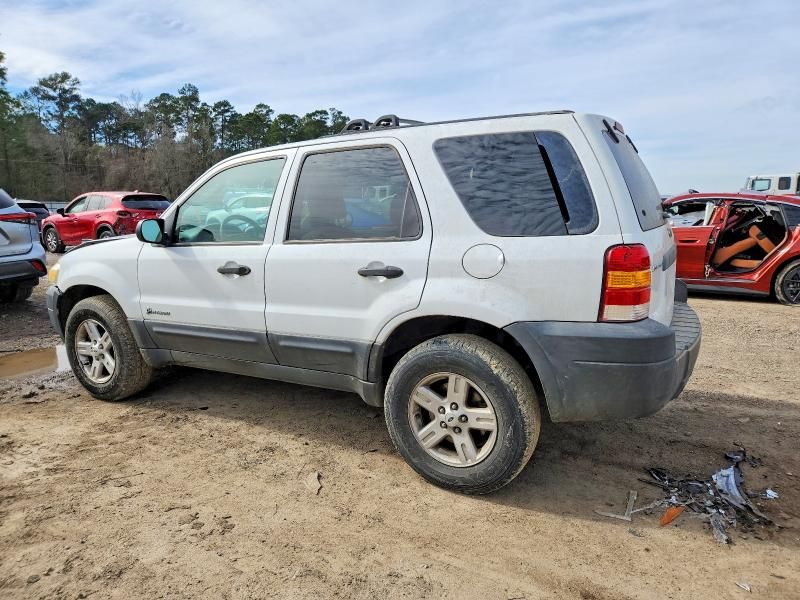 2006 Ford Escape hev