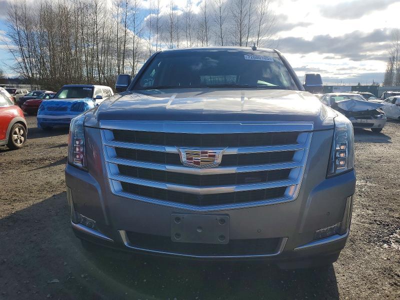2019 Cadillac Escalade esv Luxury