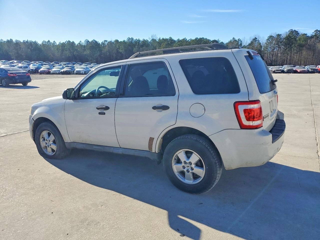 2010 Ford Escape xlt