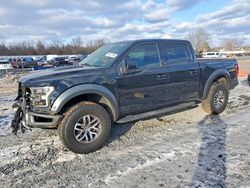 2017 Ford F150 Raptor for sale in Hillsborough, NJ