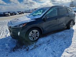 2020 Ford Escape sel en venta en Davison, MI
