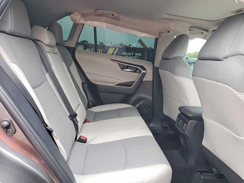 2025 Toyota Rav4 xle Premium