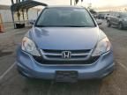 2010 Honda Cr-v exl
