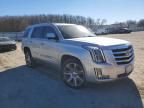 2017 Cadillac Escalade Premium Luxury