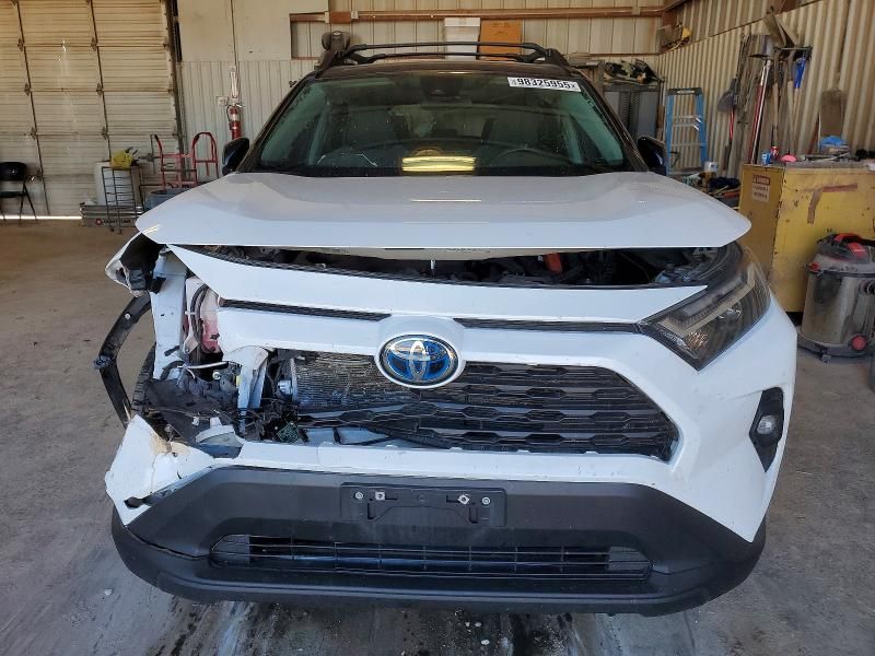 2024 Toyota Rav4 Woodland Edition