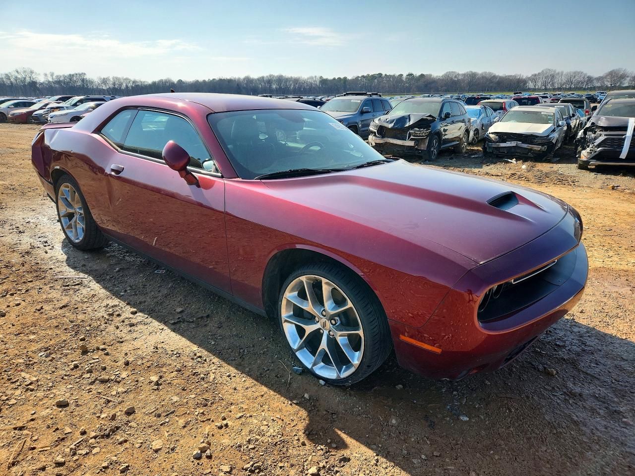 2019 Dodge Challenger gt