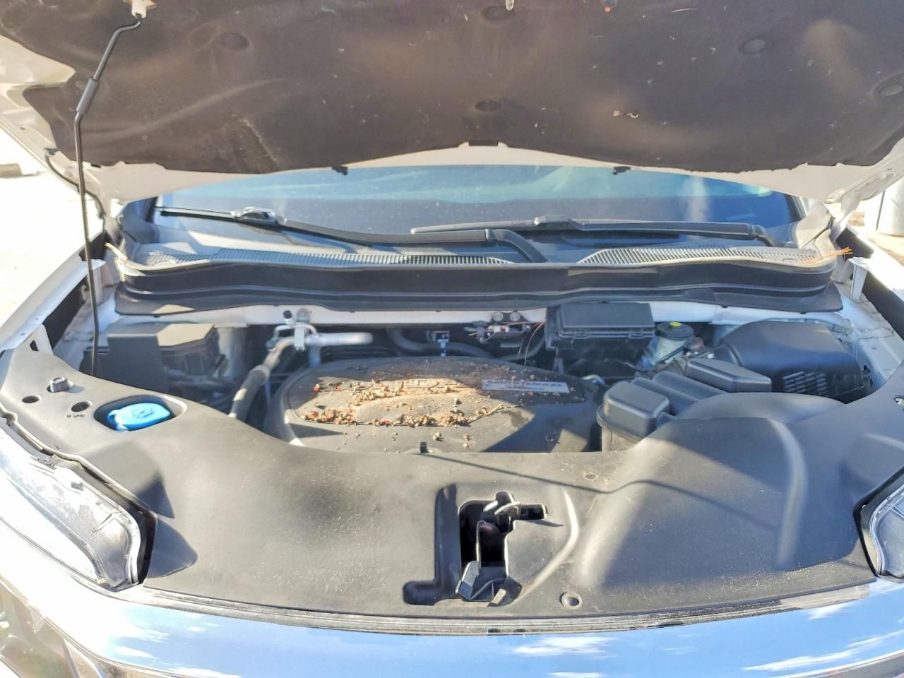 2020 Honda Pilot exl