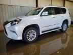 2017 Lexus Gx 460